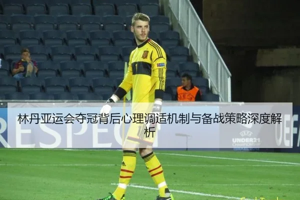 林丹亚运会夺冠背后心理调适机制与备战策略深度解析